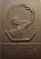 1913 Medaille 10-jriges Jubilumsschwimmfest der Schwimm-Riege des T.V.M.v.1860 16.11.1913 (1)