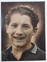 1950-51 Nebona Gewrze, Nebona Vanillin Zucker, Bodenstolz Fubodenbfarben-Strau