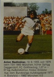 1977-78 Alpia Weisweiler Nachreiner1