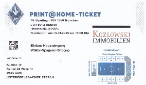 2022-23 Waldhof Mannheim - 60 Print 2022-23 Waldhof Mannheim - 60 Print