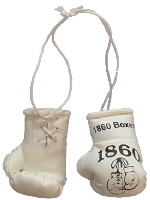 2022 Boxhandschuhe