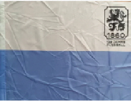 Fahne 125 Jahre Fussballabteilung